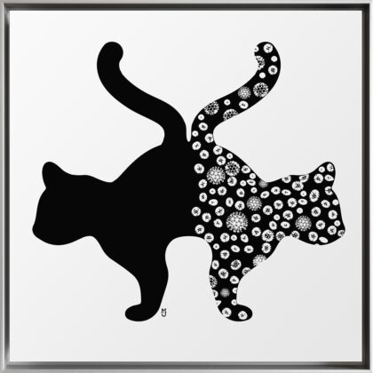 Schrödingers Katze Nachttiere anfang
