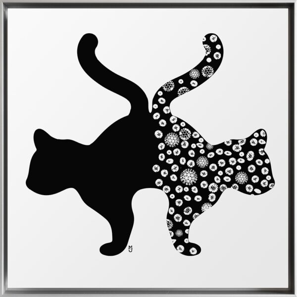 Schrödingers Katze