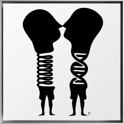 DNA Nachttiere competition