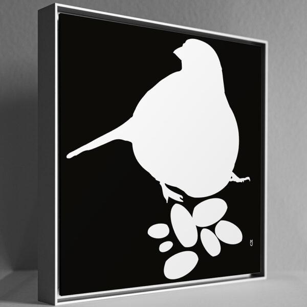 VOGEL – Bild 2